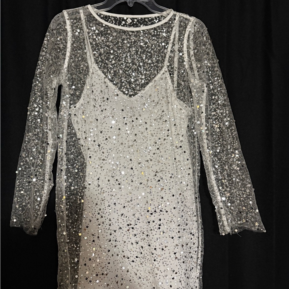 Elegant Silver Sequin Dress